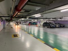 -上海浦东国际机场T1航站楼-P1停车场