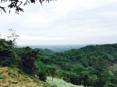 凤栖山康道-凤栖山