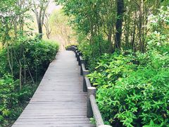-新江湾城公园