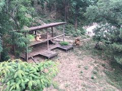 -石家庄市动物园