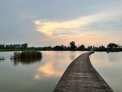 -盐城丹顶鹤湿地生态旅游区