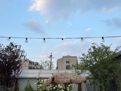 -Jo's Garden