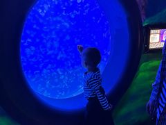 -江和美海洋公园
