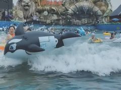 -沈阳龙润夏宫温泉水乐园