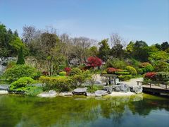 -上海吴淞炮台湾国家湿地公园