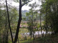 -神光山国家森林公园