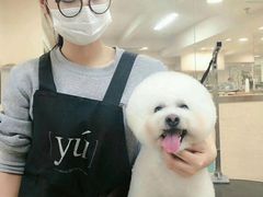 -多卡布奇宠物生活馆(上林世家店)