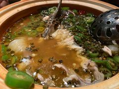 石锅青椒鱼-Mountain House East Village 川山甲