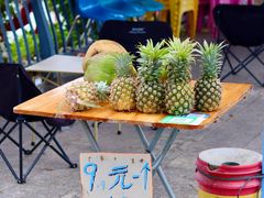 -鹤之洲湿地公园