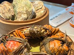 -杨氏青龙虾·羊蝎子(金盛路总店)
