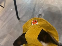 -瑞虹新天地月亮湾
