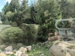 -芦芽山旅游度假区