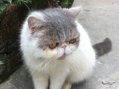 -老屋咖啡