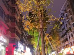 -奎星楼街