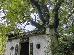 -塔川景区