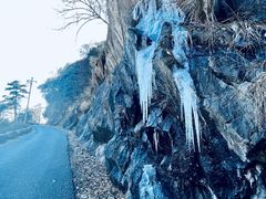 -东天目山风景区