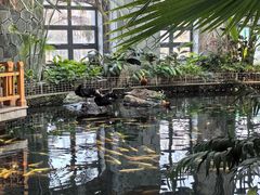 -南宫五洲植物乐园