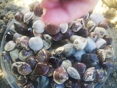 -北海金海湾红树林生态旅游区