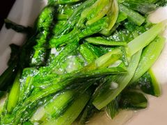 油麦菜-延安八大碗(陕北菜·枣园路店)