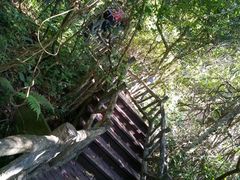 -东莞市大岭山森林公园