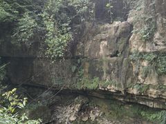-鹿院坪生态旅游景区
