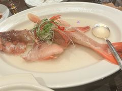 油盐蒸石斑-万丽轩·粤菜(王府井金茂万丽酒店)