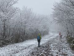 -湖州龙王山景区
