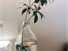 -THE RAVEN乌鸦咖啡(天利店)