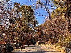 -灵岩山风景区