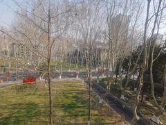 -东南大学(四牌楼校区)