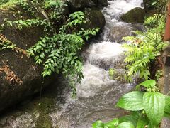 -藏龙百瀑风景区