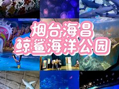 -烟台海昌鲸鲨海洋公园