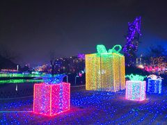 -飞凤山奥体公园