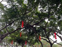 -广州莲花山旅游区