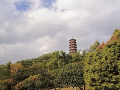 -红花山公园