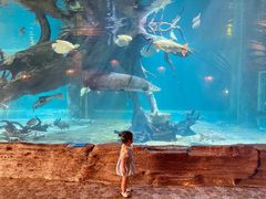 -华夏文旅海洋公园