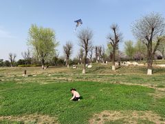 -汉长安城未央宫国家考古遗址公园