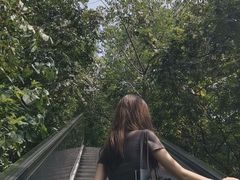 -天目湖山水园