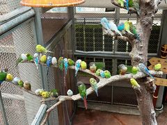 -正佳雨林生态植物园