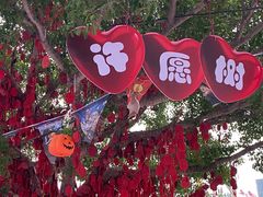 -温州乐园