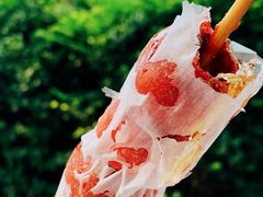 -和禄德冰糖葫芦