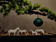 -美庐餐厅(中山陵店)