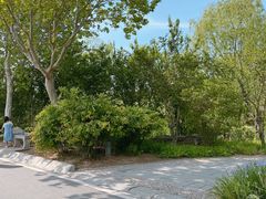 -石家庄市植物园