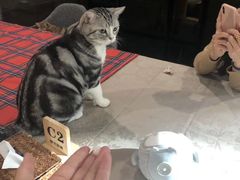 -咖法森林·咖啡  酒吧(天河店)