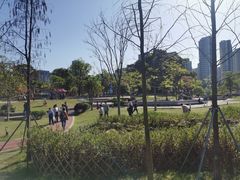 -牛岗山公园