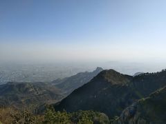 -醉得意·山茶油炒土鸡(泰安火车站大润发店)