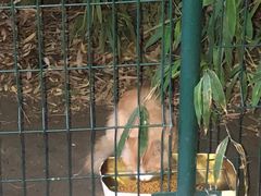 -北京外交人员免税商店(分店)