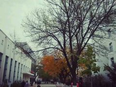 -东北大学(秦皇岛分校)