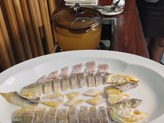 堂灼东海大黄鱼-黄鱼馆Jhouse(外滩店)