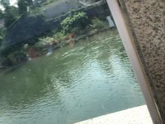 -东兴口岸-中越友谊大桥
